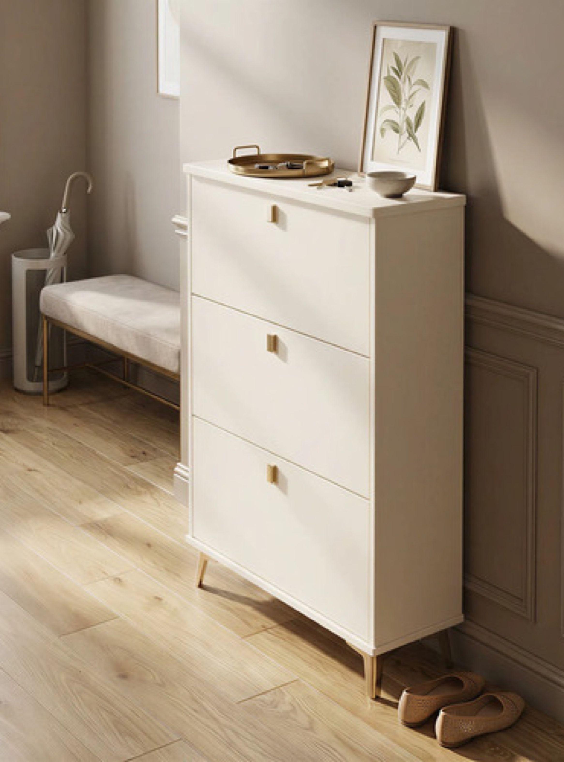 Zapatero Organizador Estante Hall Armario 110 Altox100x17cm-4