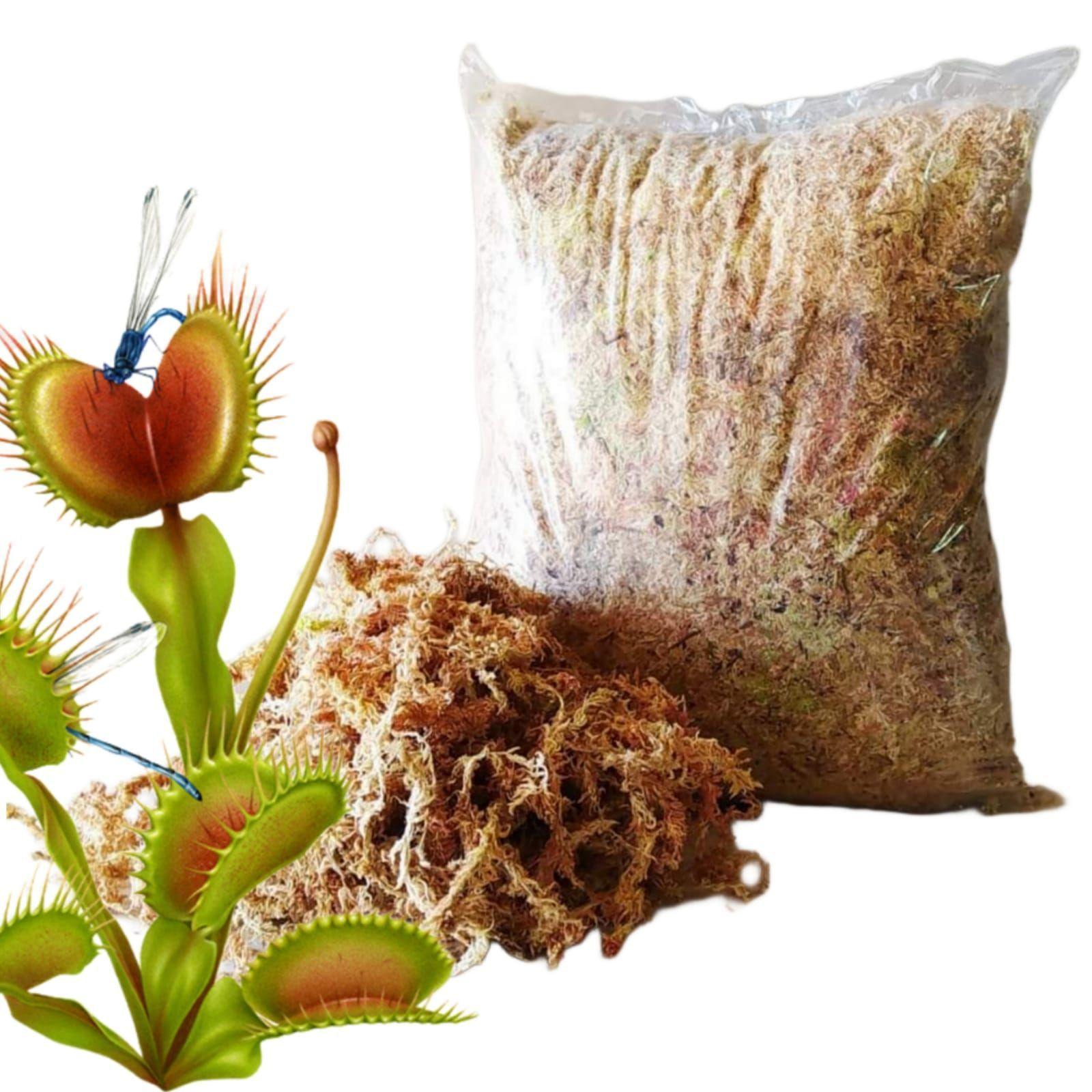 MUSGO PARA PLANTAS CARNIVORAS-0