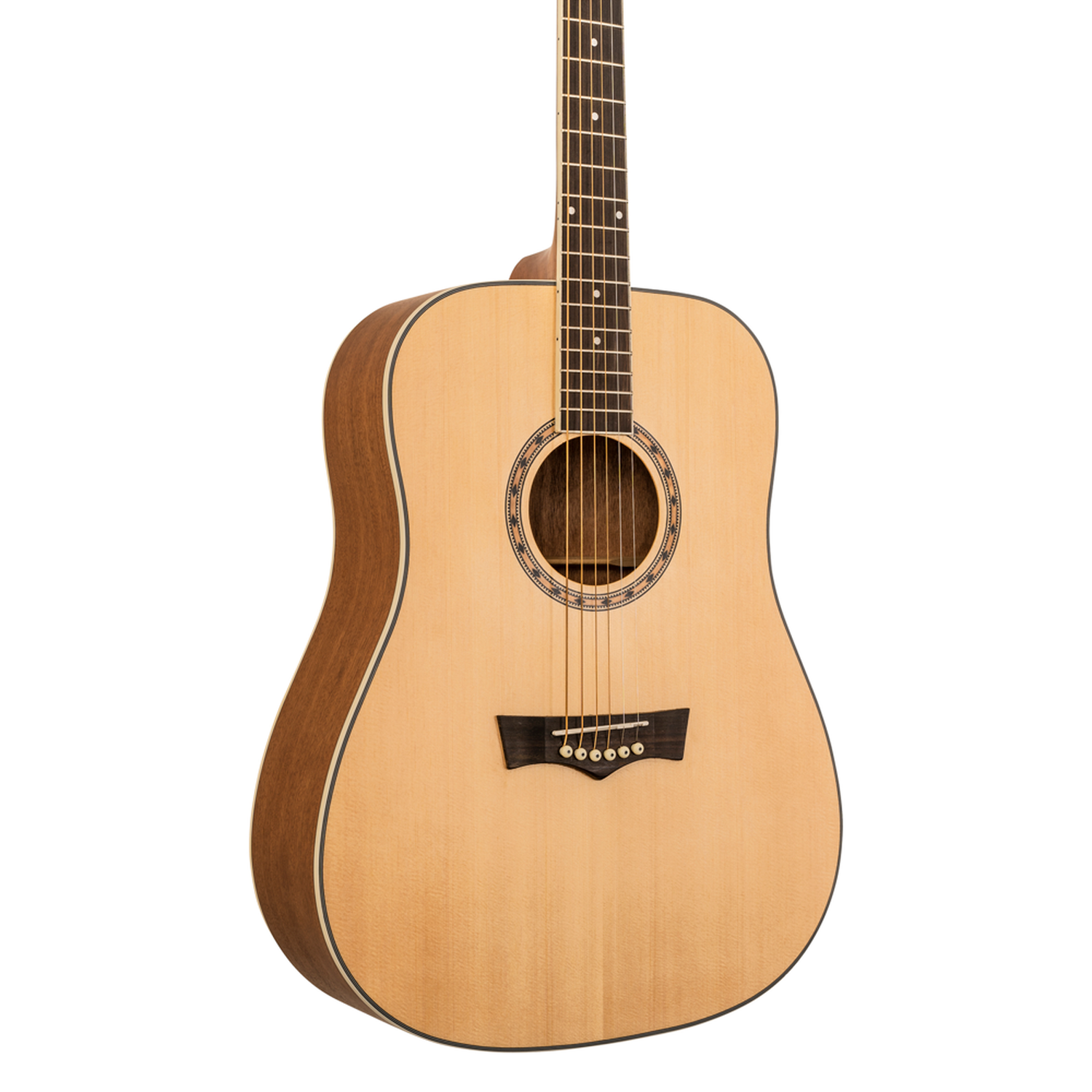 GUITARRA ACUSTICA PEAVEY DW1-2