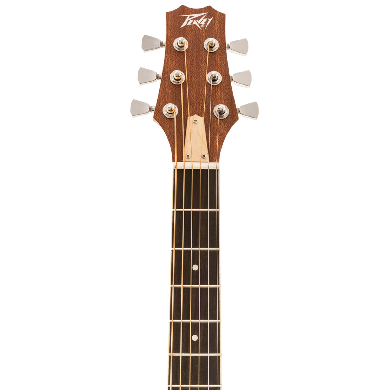 GUITARRA ACUSTICA PEAVEY DW1-3