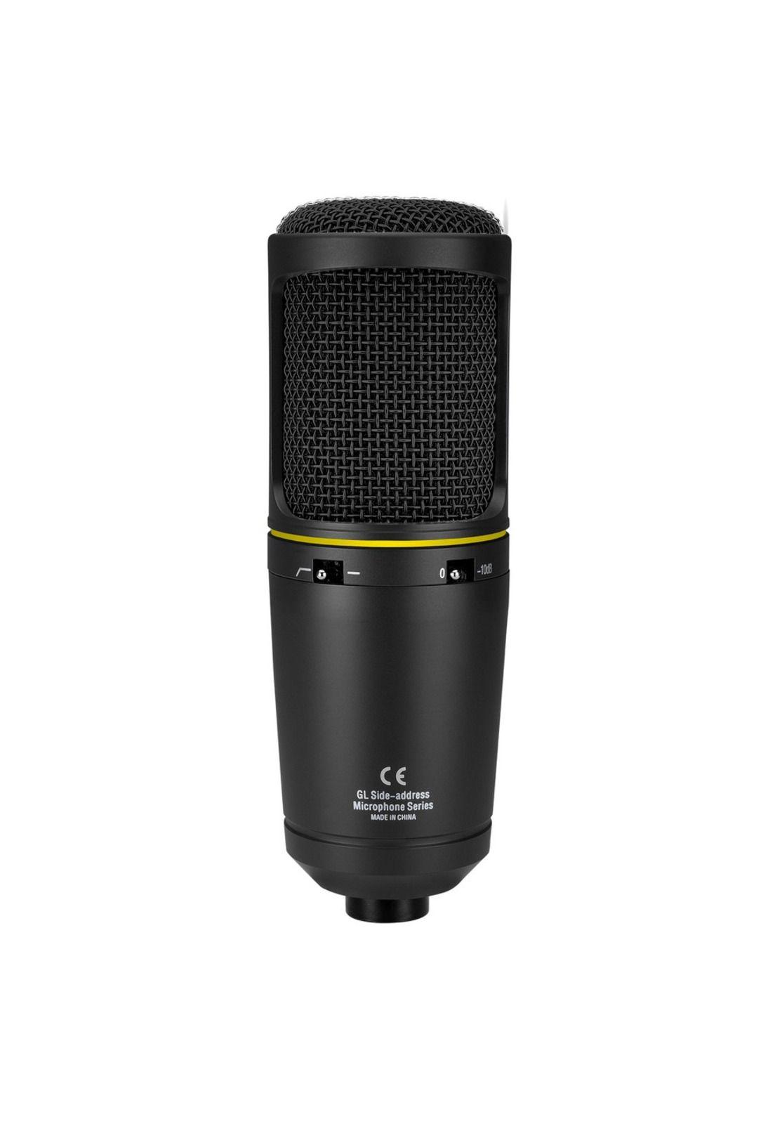 Micrófono de Estudio SKP SKS 420-2