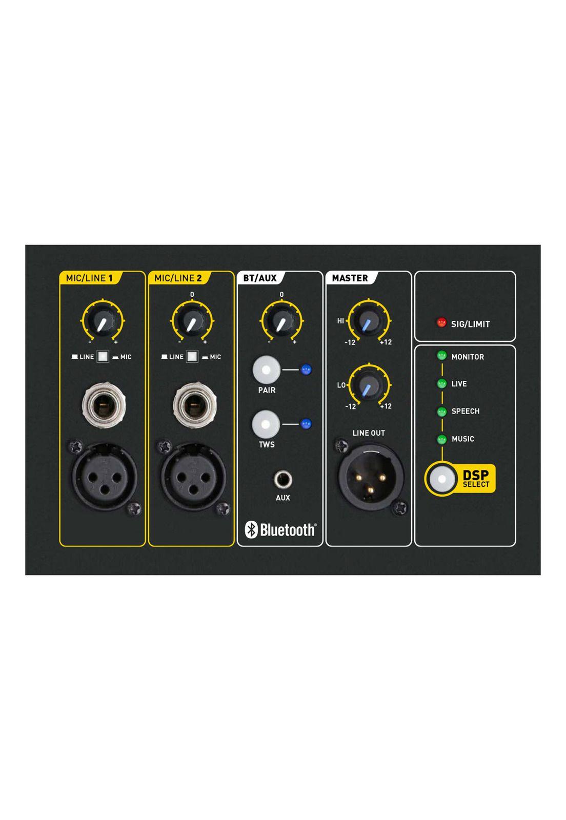 Parlante profesional activo SKP Q10 MK2-2