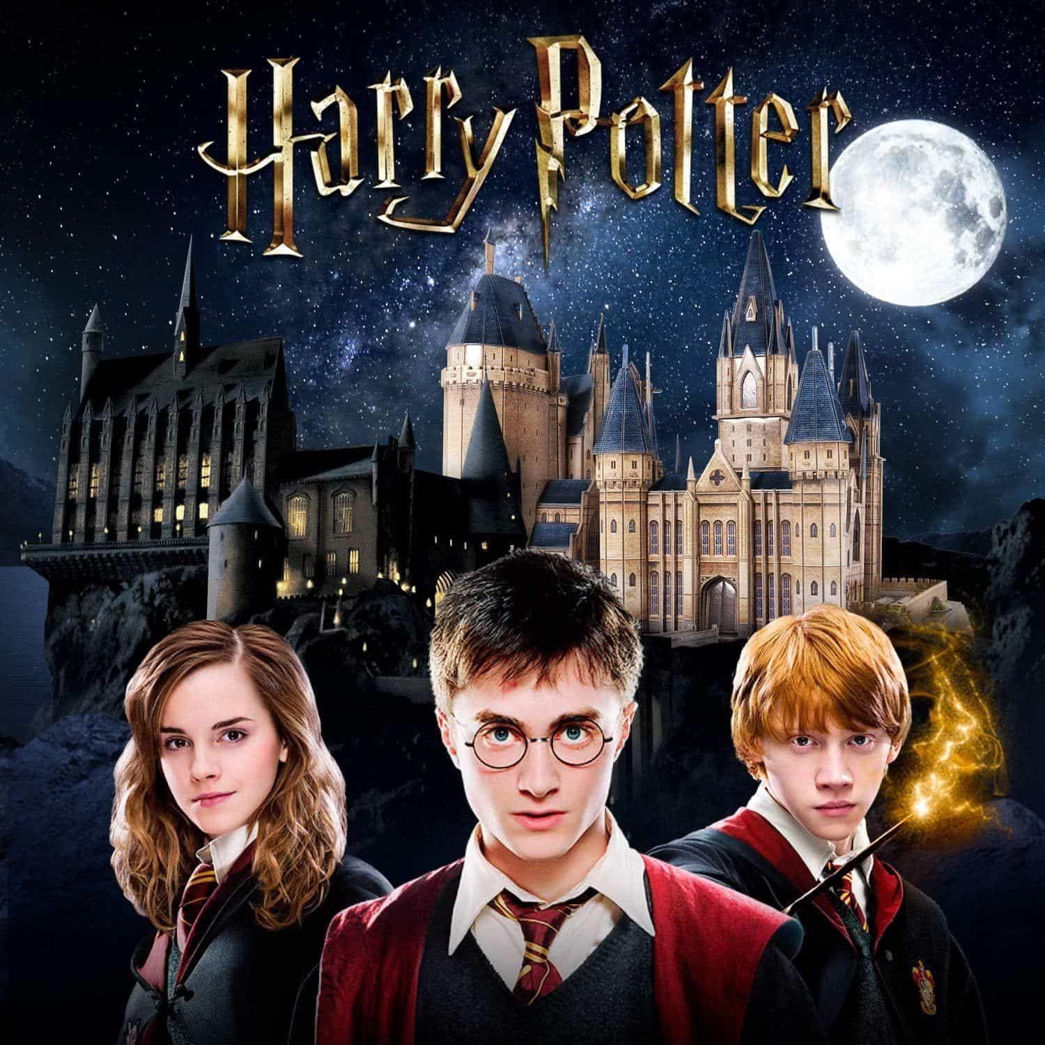 Puzzle 3D Torre de Astronomía de Hogwarts (Harry Potter) - Cubicfun-3