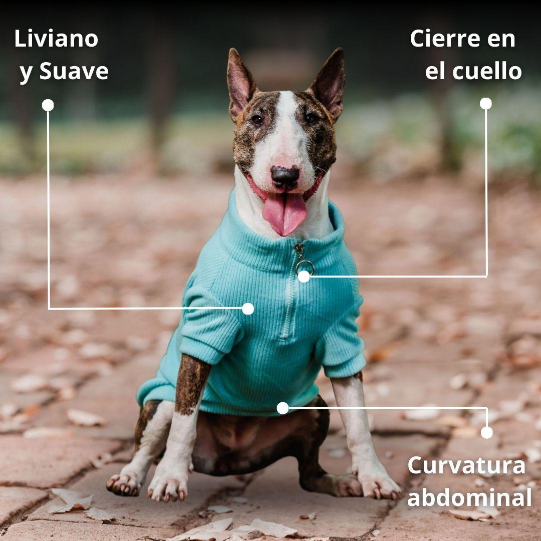 Pet Lounge Sweater Color Turquesa Perros y Gatos-6