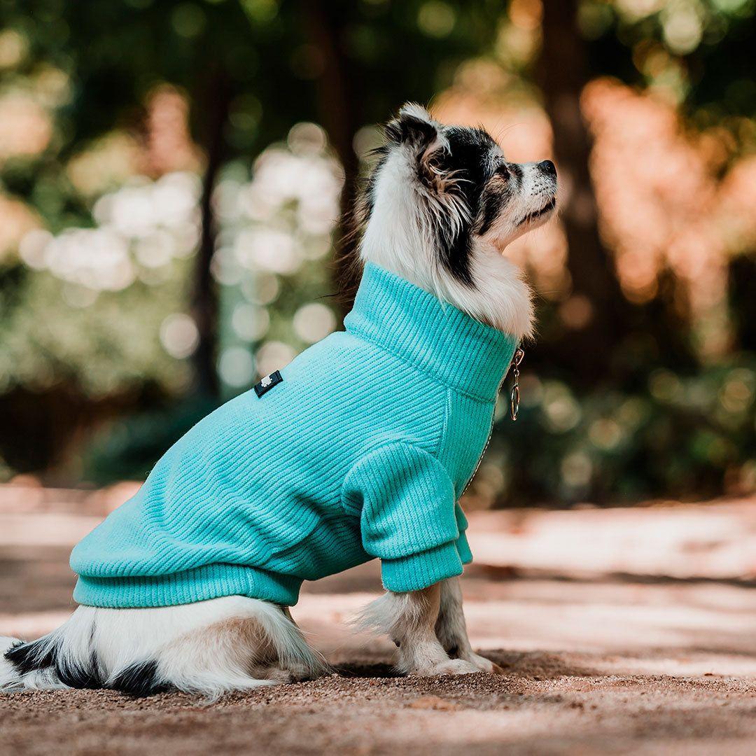 Pet Lounge Sweater Color Turquesa Perros y Gatos-8