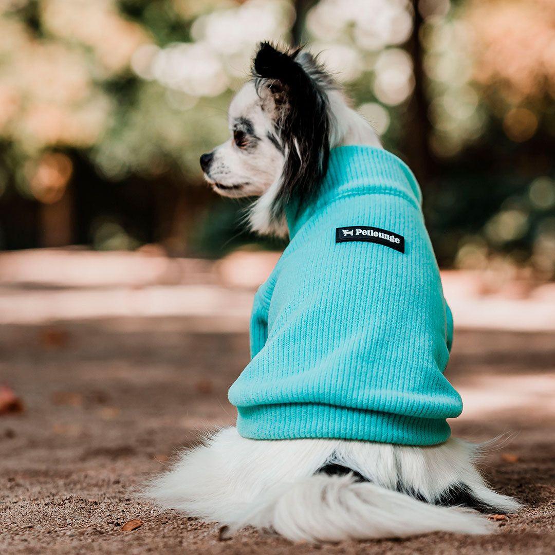 Pet Lounge Sweater Color Turquesa Perros y Gatos-9