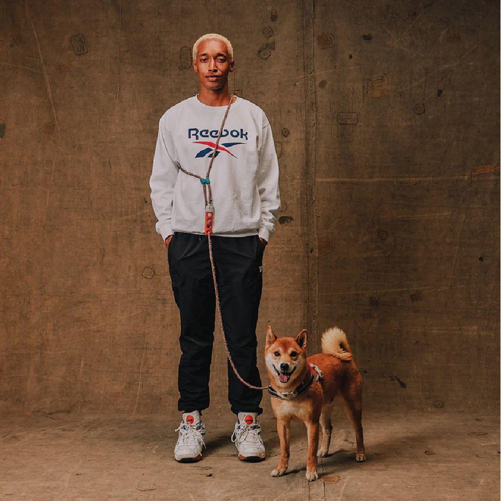 Zee Dog Correa Handsfree REEBOK Suede-4