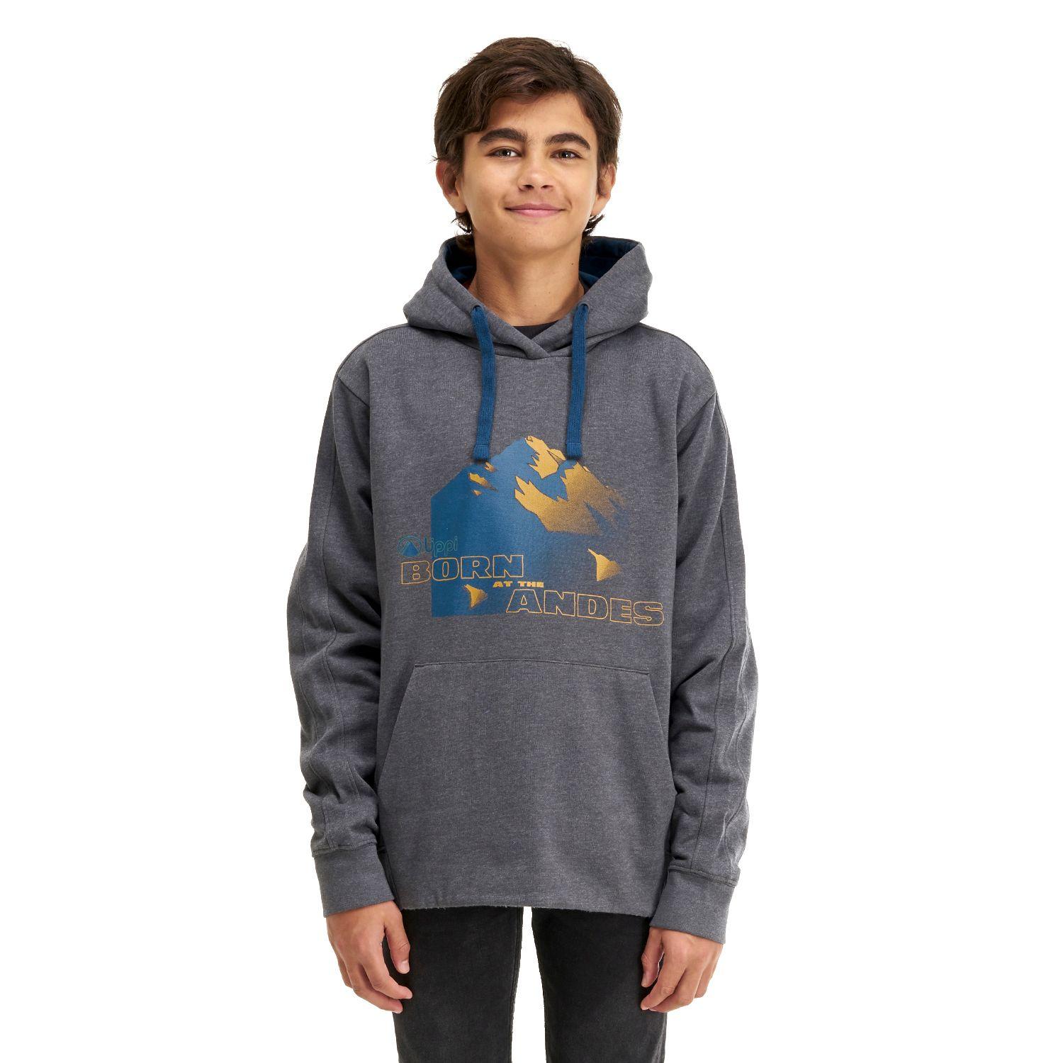 Poleron Teen Boy Insigne Hoody Sweatshirt Melange Gris Oscuro Lippi-1