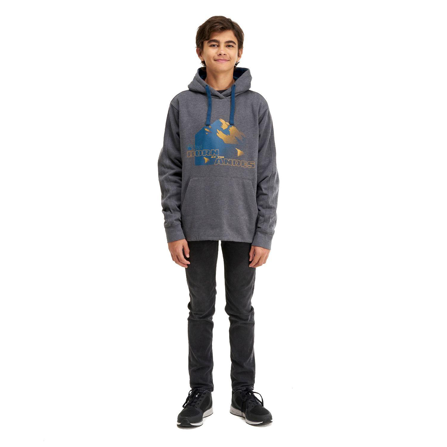 Poleron Teen Boy Insigne Hoody Sweatshirt Melange Gris Oscuro Lippi-5