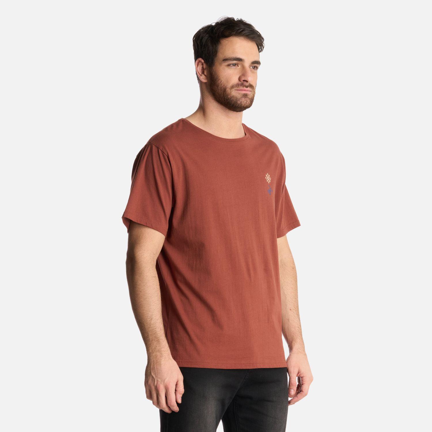 Polera Hombre Araucaria Milenaria Café Haka Honu-1