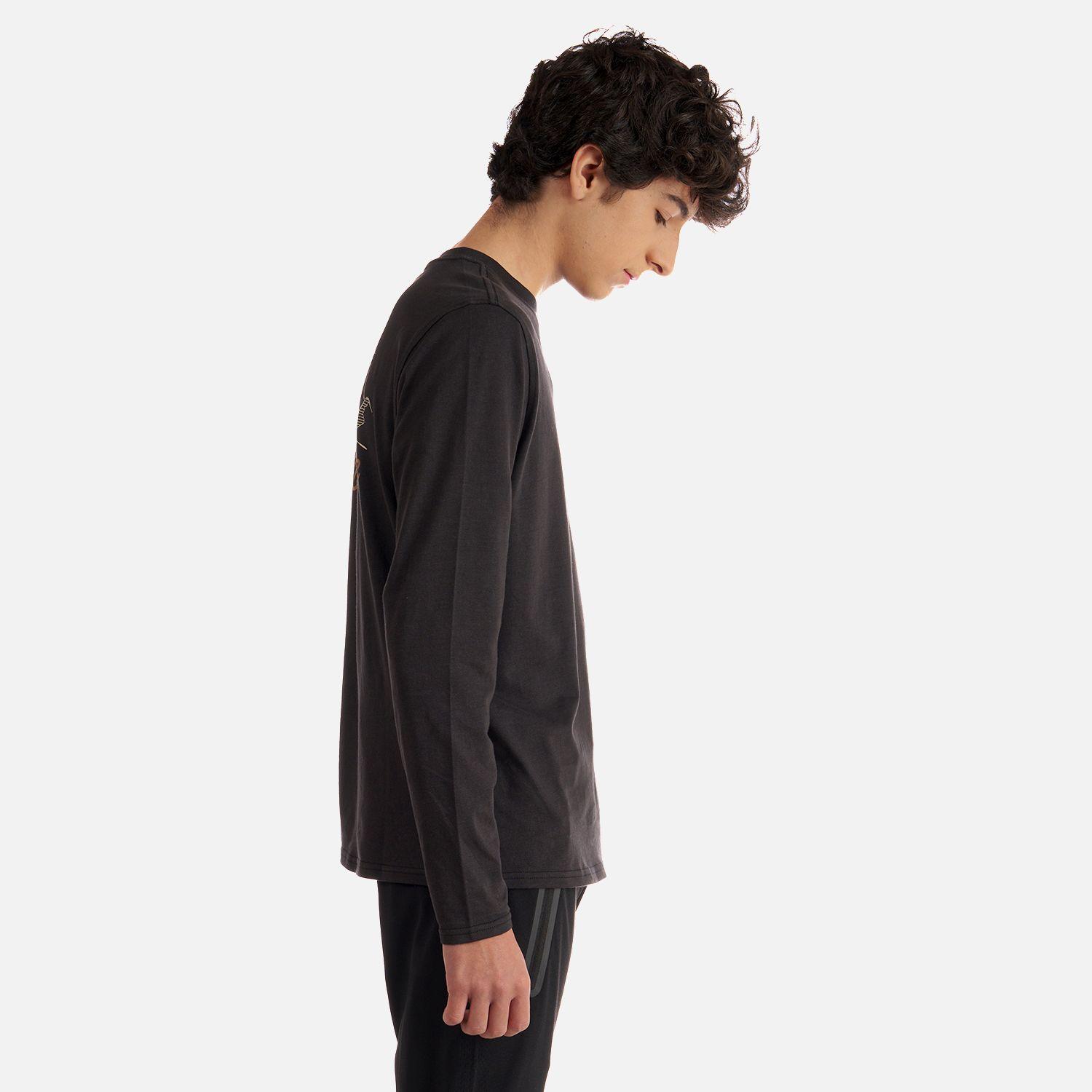 Polera Teen Boy Mountain Long Sleeve T-Shirt Grafito Lippi-3