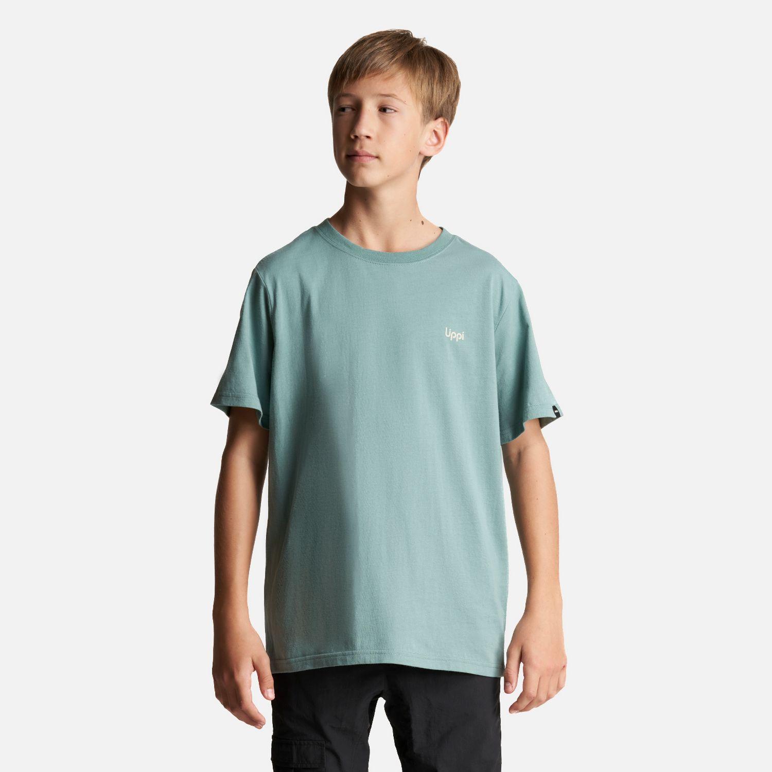 Polera Teen Boy Mountain T-Shirt Jade Lippi-1