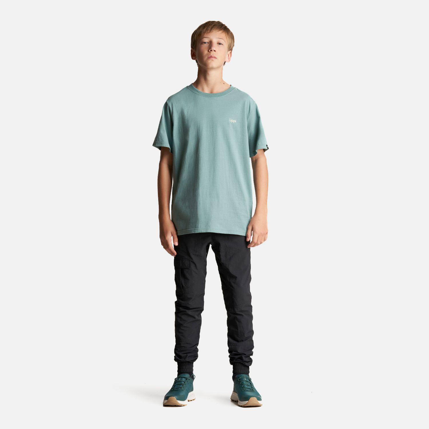 Polera Teen Boy Mountain T-Shirt Jade Lippi-4