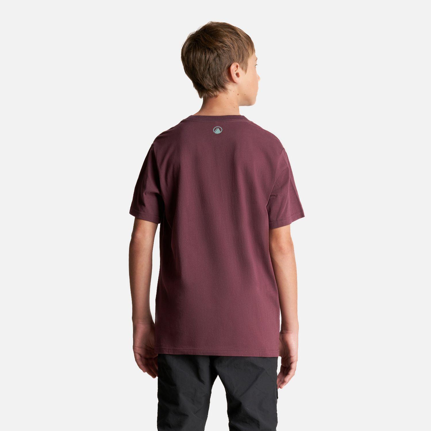 Polera Teen Boy Logo Lippi T-Shirt Burdeo Lippi-2