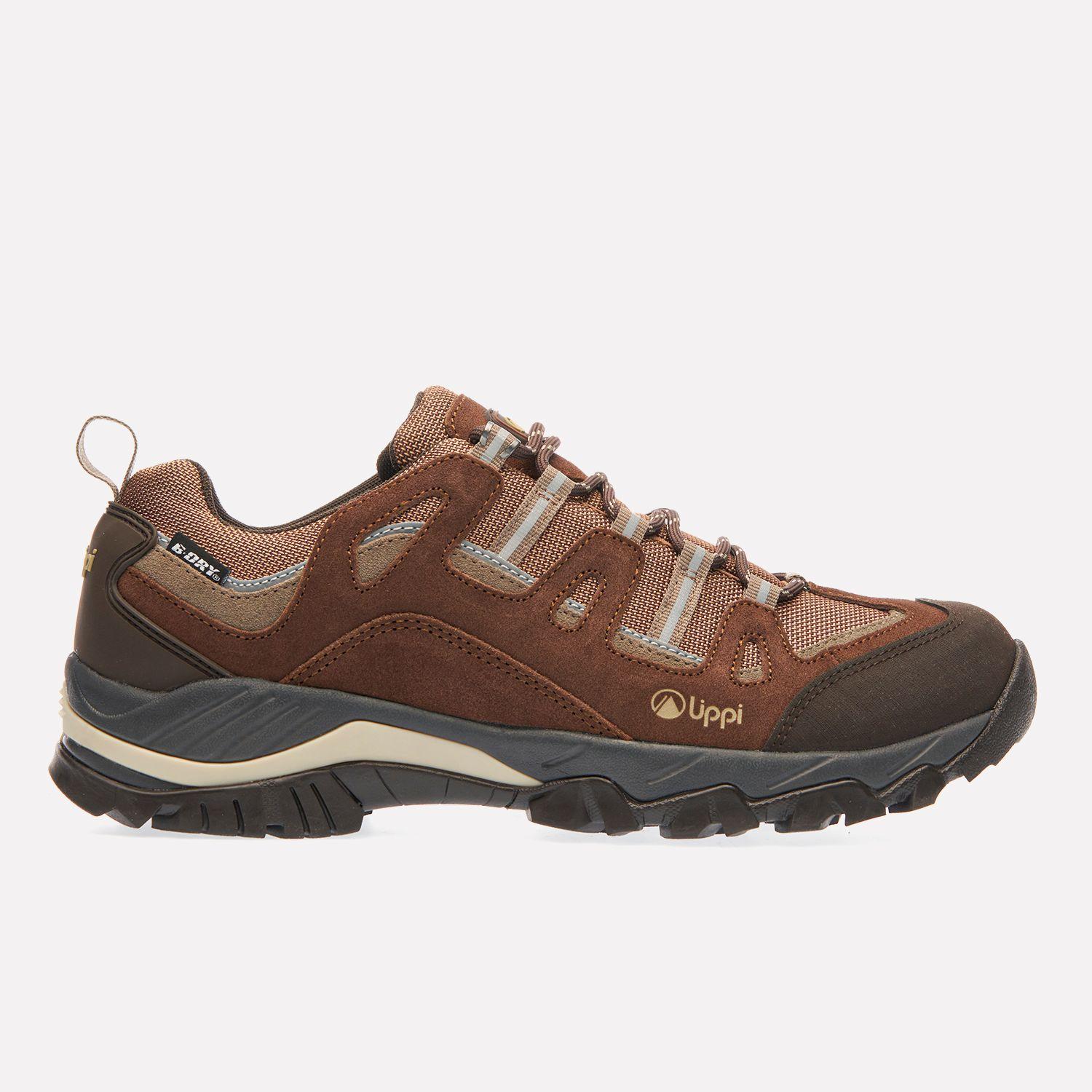 Zapato Hombre Puelo CS Low Café Lippi V25-0
