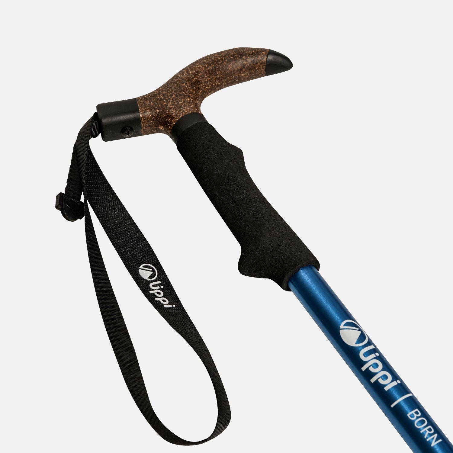 Baston Unisex Heritage Trail Pole Azul Lippi-2