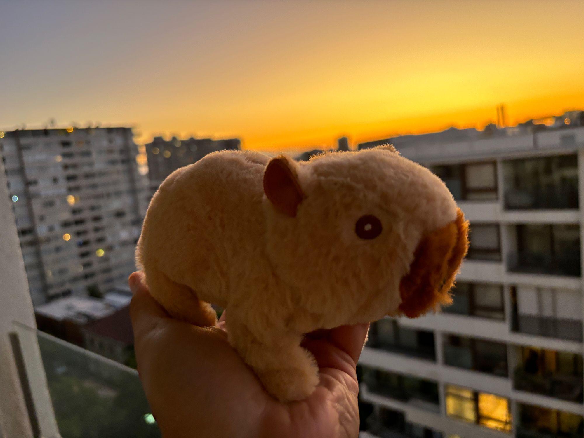 Robot Mascota Capibara Sonido Camina Peluche Juguete Regalo Navidad-2