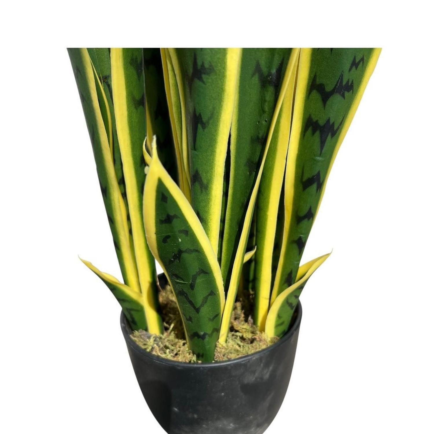 Planta Artificial Lengua de Suegra Sansevieria 60 cm/18 hjs-5