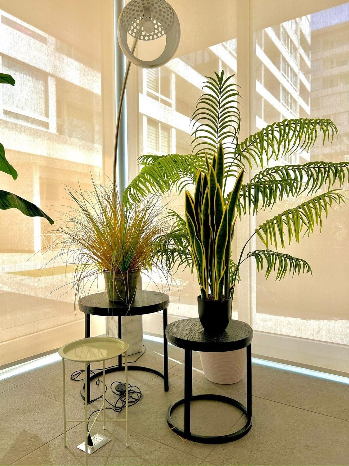 Planta Artificial Lengua de Suegra Sansevieria 60 cm/18 hjs-3