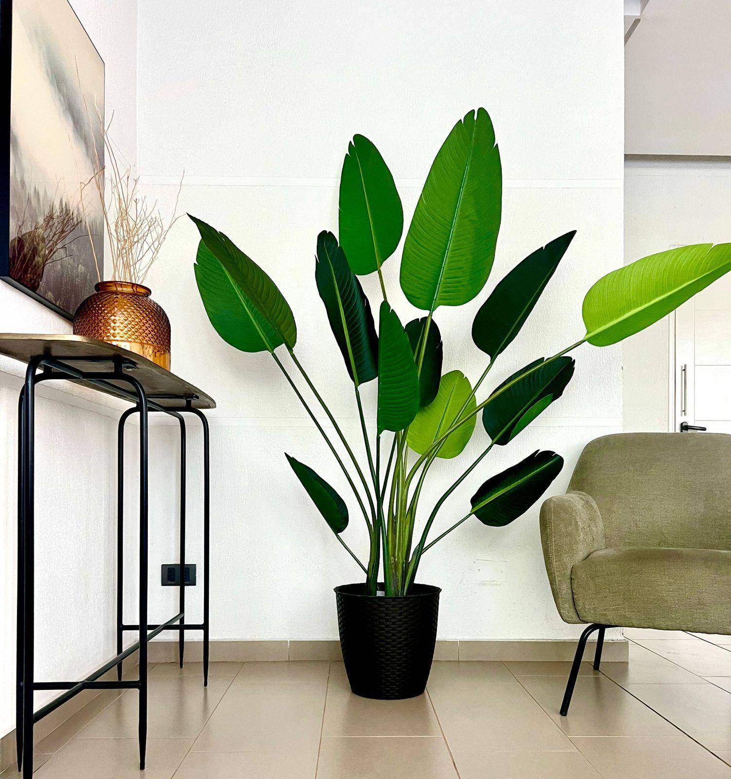 Planta Artificial Ave del Paraiso 180 cm. / 12 Hojas-3
