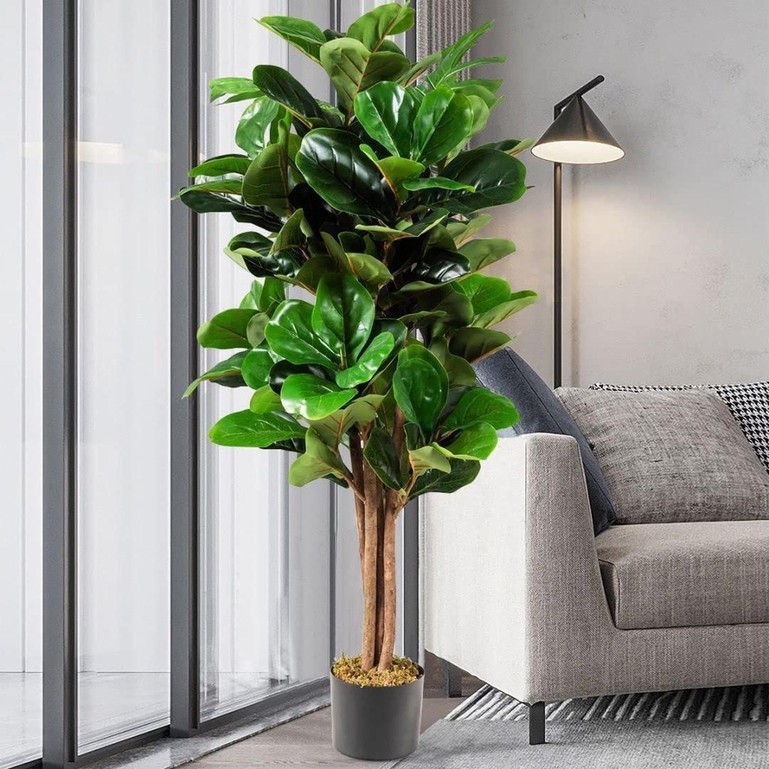 Planta Artificial Ficus Lyrata 150 Cm Premium / Arbusto Real-2