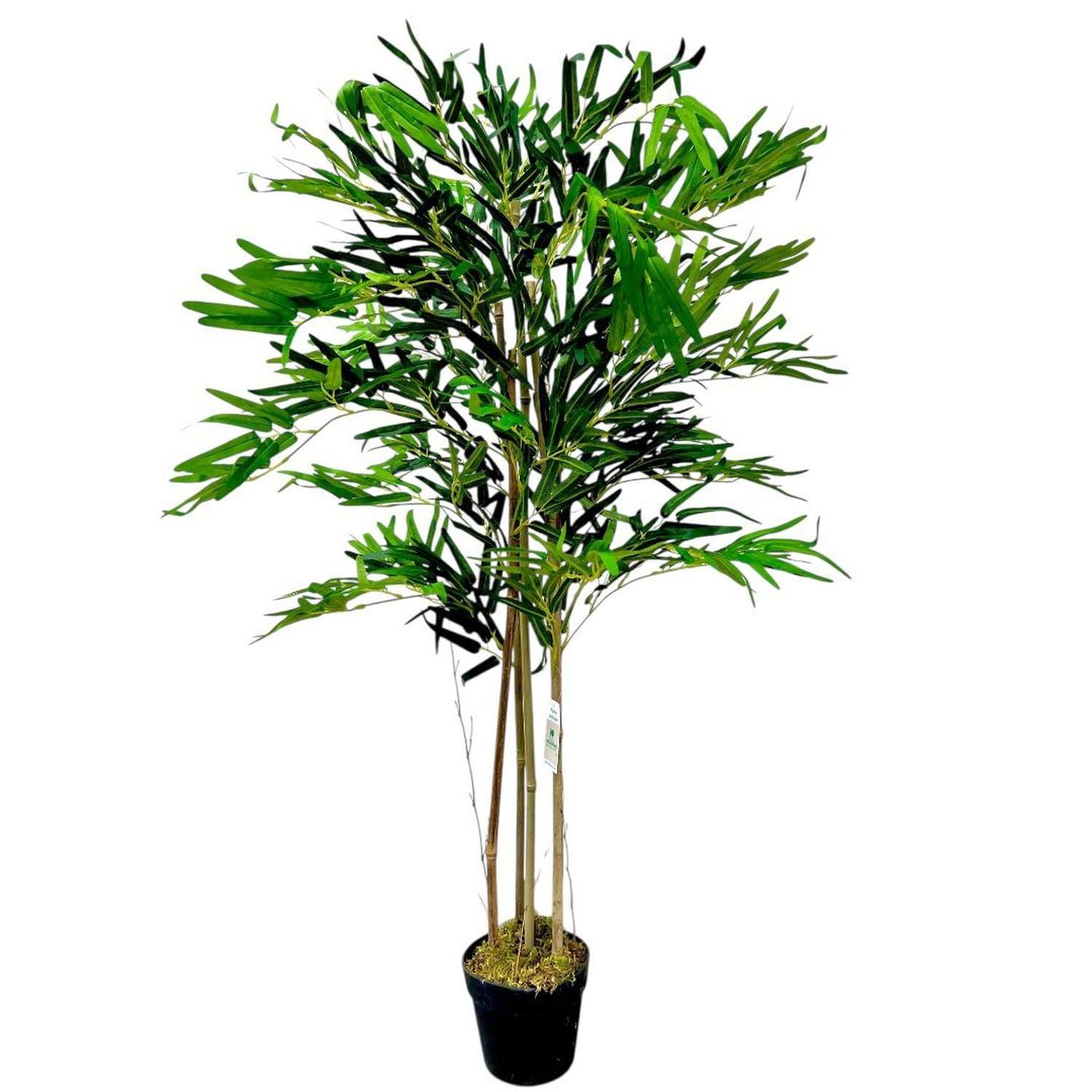 Bamboo Premium 120 cm. / 730 Hojas-8