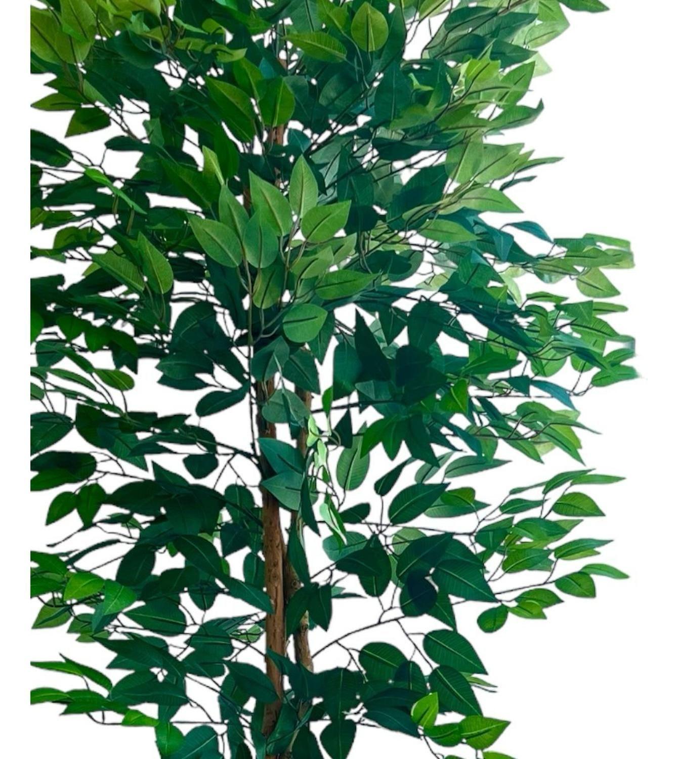 Planta Artificial Ficus Premium 180 Cm 1288 Hs/ Arbusto Real-9