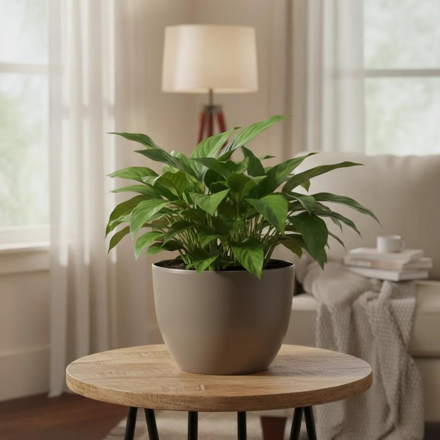 Macetero Nórdico Gris Oscuro L 30 cm 40 x 24 x 30-4