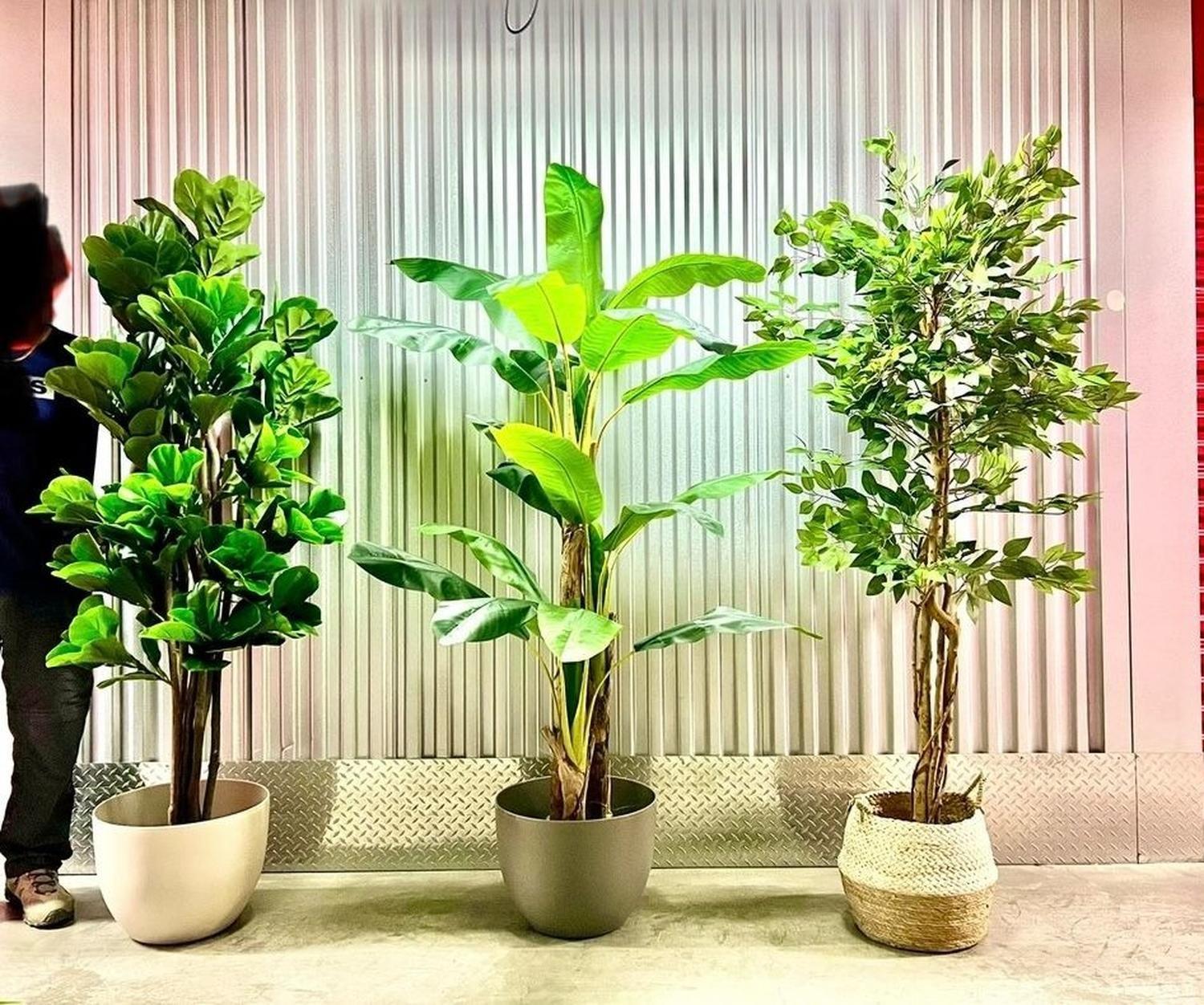 Planta Artificial Decorativa Arbol Grande Banano 120cm 12hjs-4