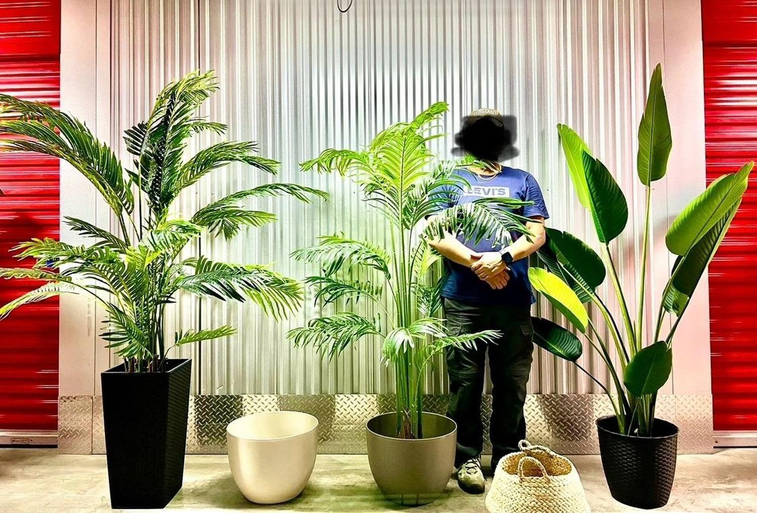 Planta Artificial Decorativa Arbol Grande Banano 120cm 12hjs-5