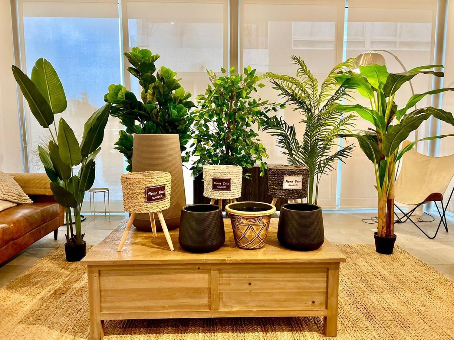 Planta Artificial Decorativa Arbol Grande Banano 120cm 12hjs-6