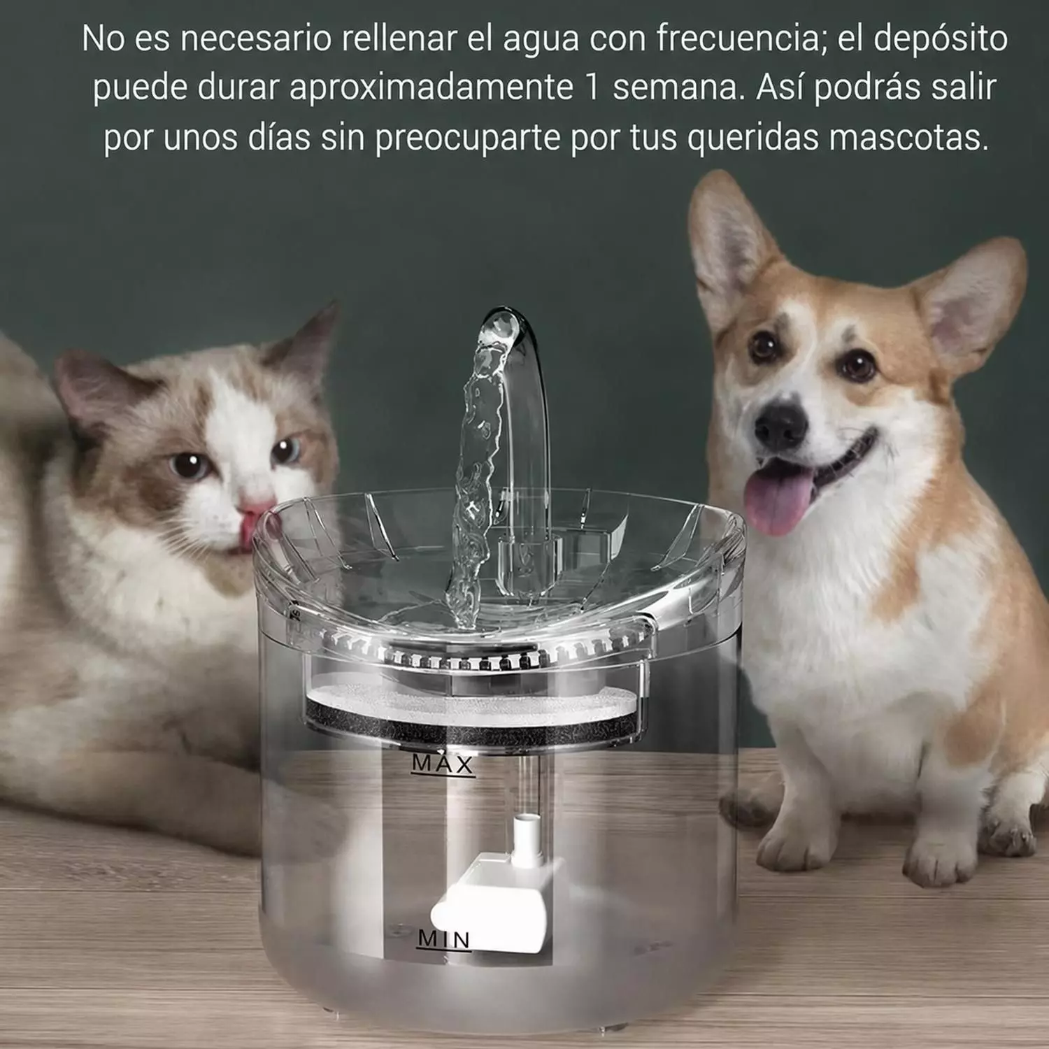 Bebedero Electrico Mascotas 1.8L Filtro Triple Gatos Perros-4
