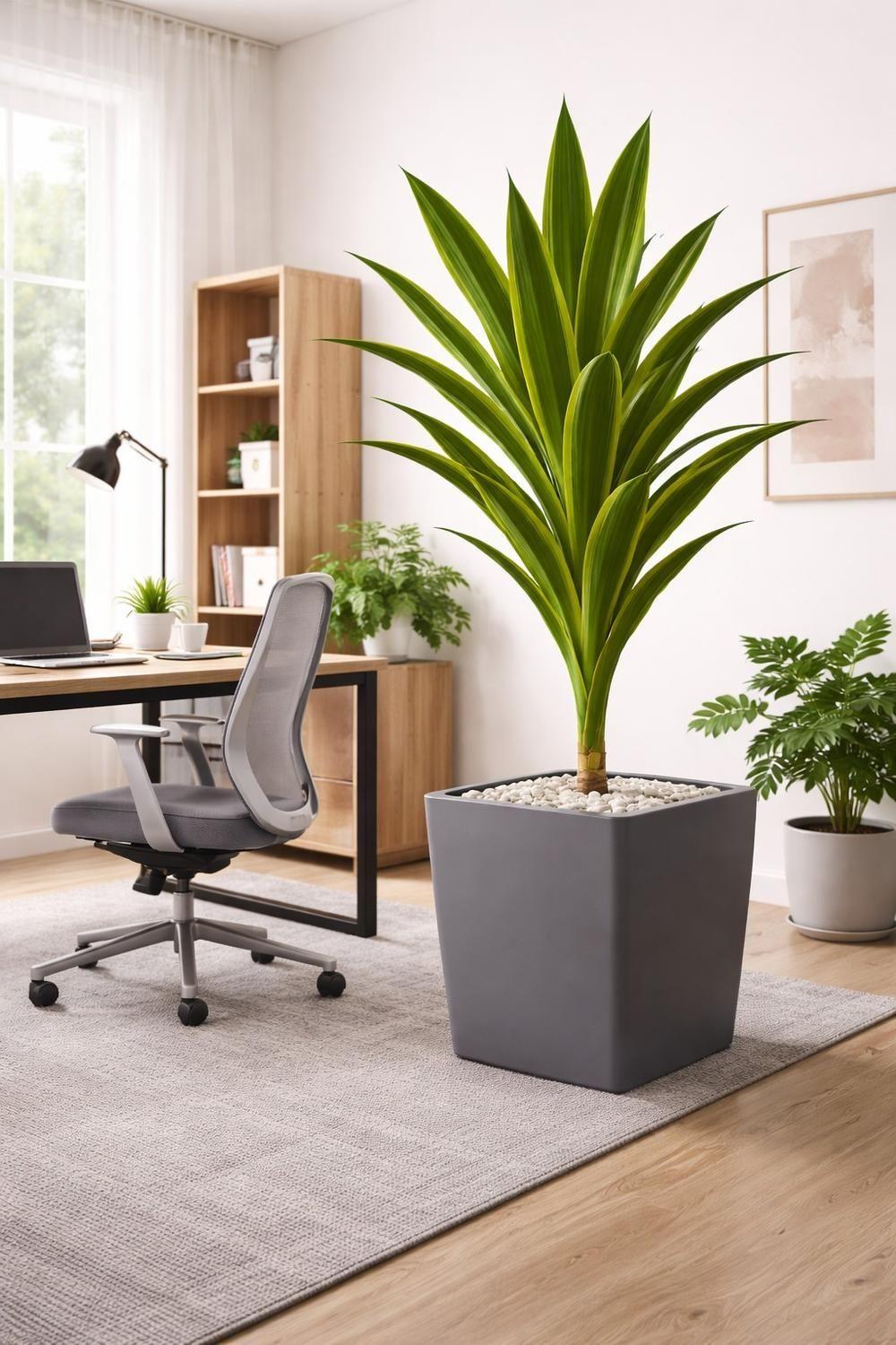 Drácaena Artificial Grande 160 cm Planta Decorativa Interior-2