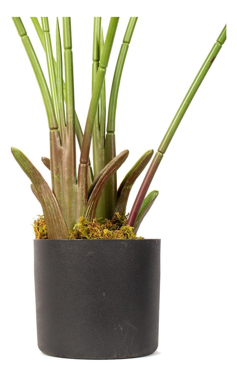 Planta Artificial Paradise Birds 120 Cm/8 Hojas Arbusto Real-3