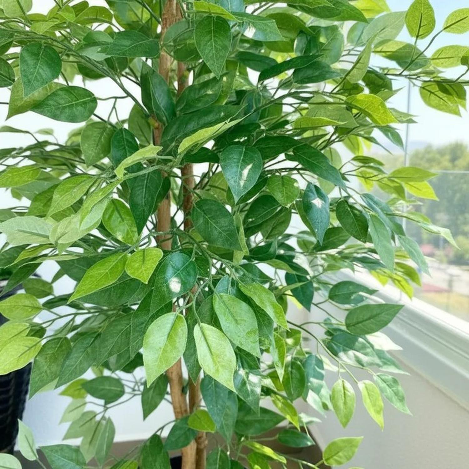 Planta Artificial Decorativa Arbol Grande Ficus 160cm 1008h-4