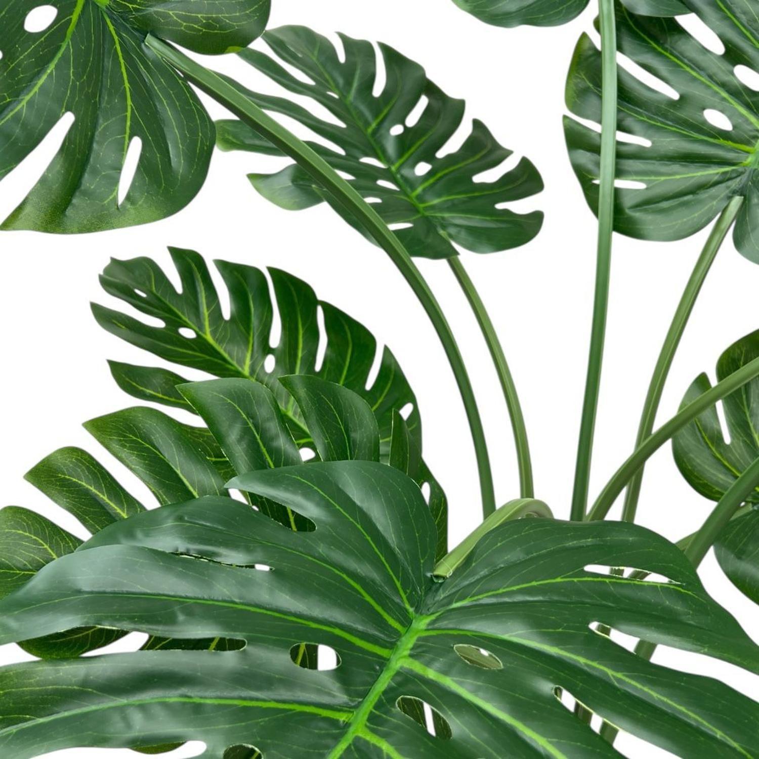 Monstera Premium 120 cm. / 10 Hojas Arbusto Real-6