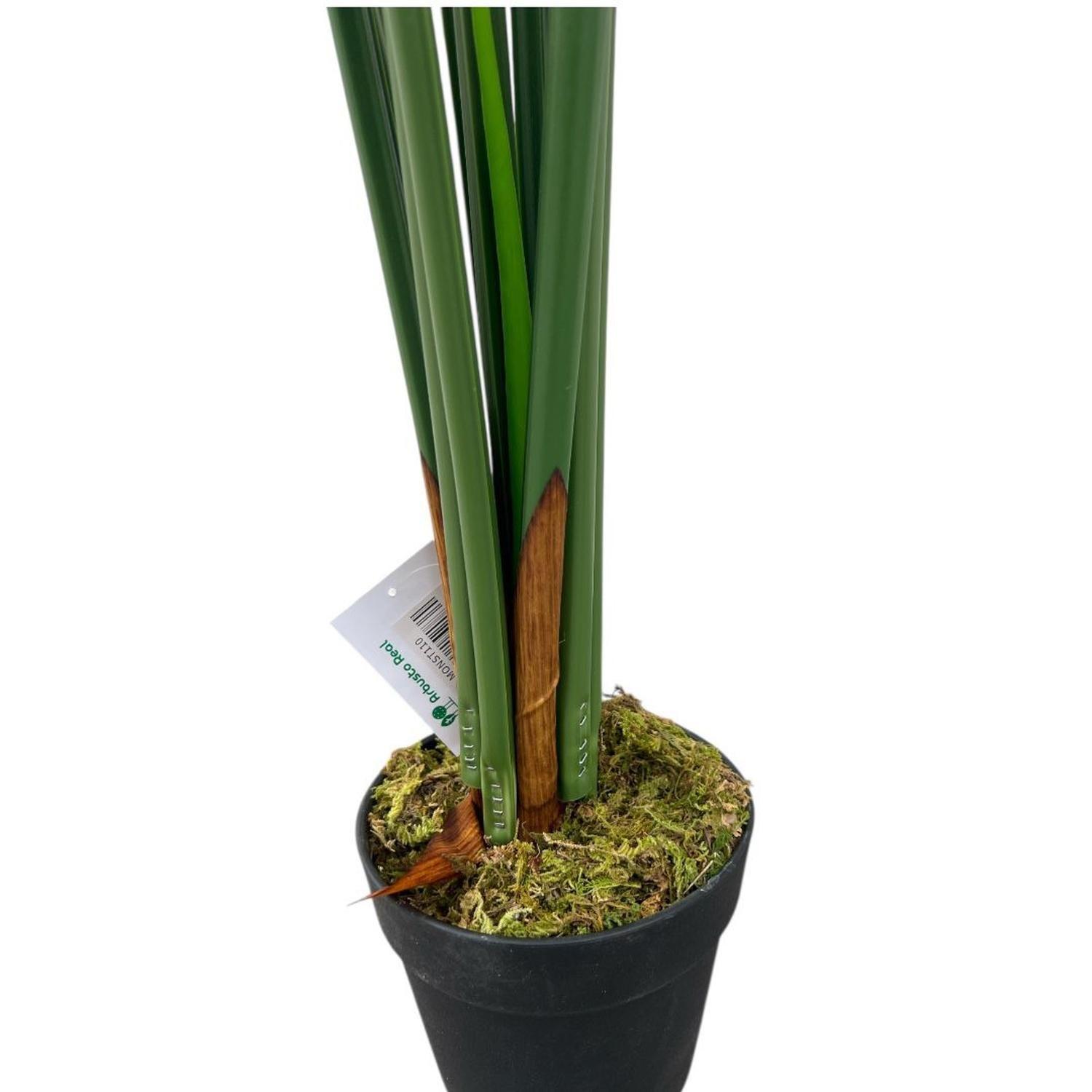 Monstera Premium 120 cm. / 10 Hojas Arbusto Real-7