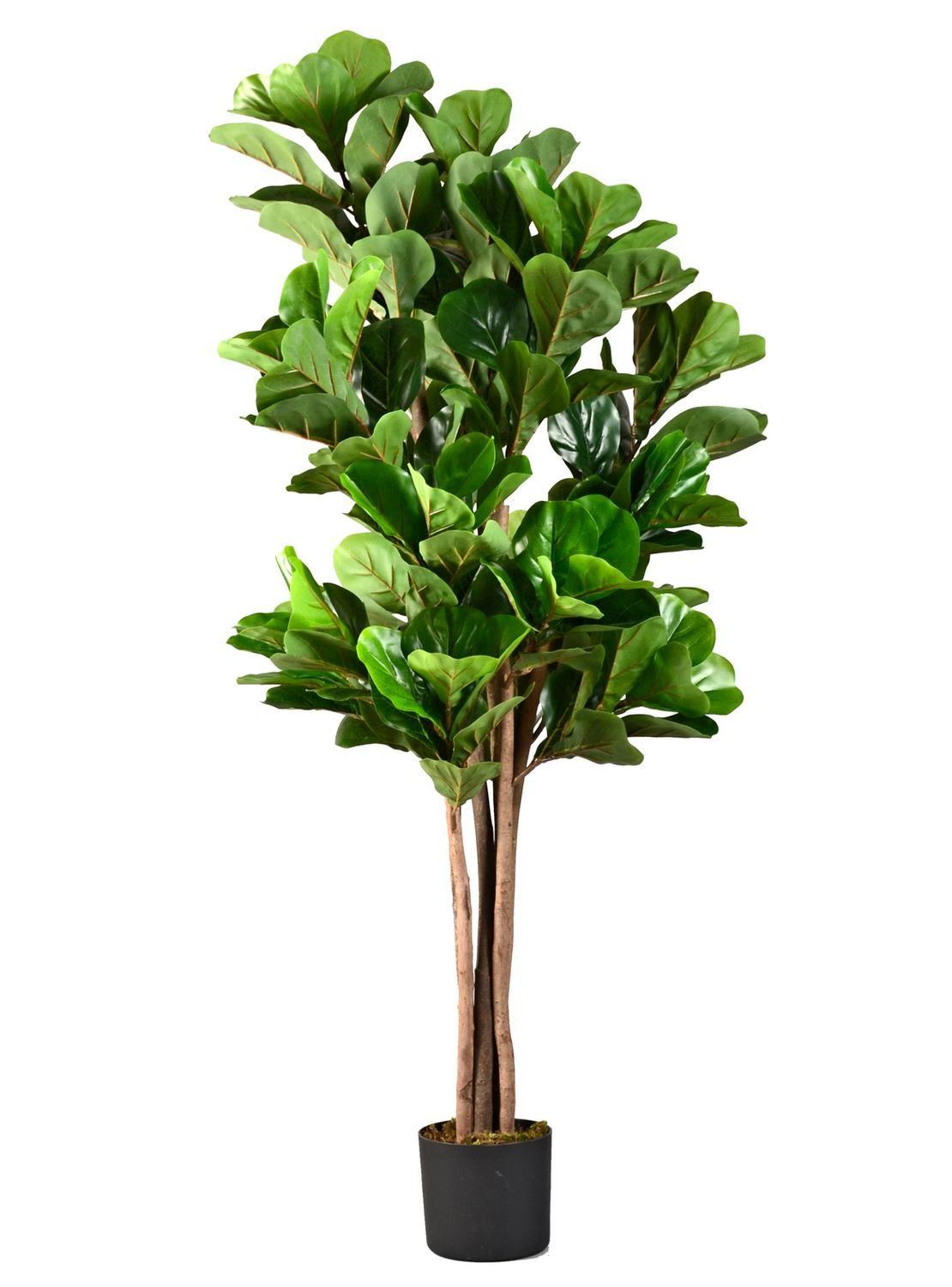 Planta Artificial Decorativa Arbol Grande Ficus Lyrata 180 cm-3