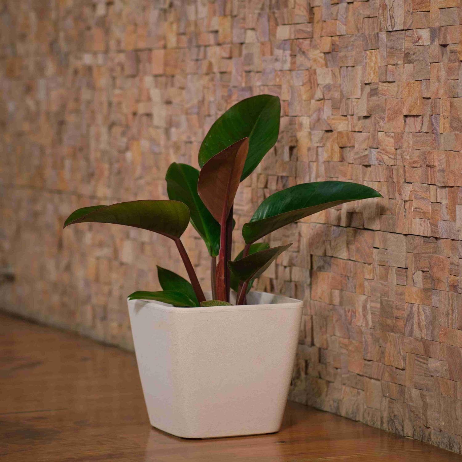Macetero Nórdico Beige L 40 cm 40 x 24 x 30-2