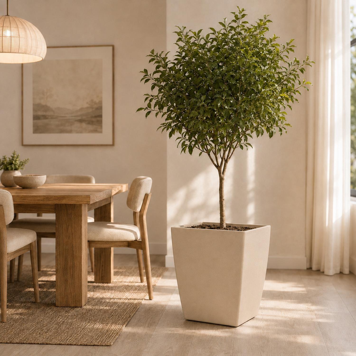 Macetero Nórdico Beige L 40 cm 40 x 40 x 40-7