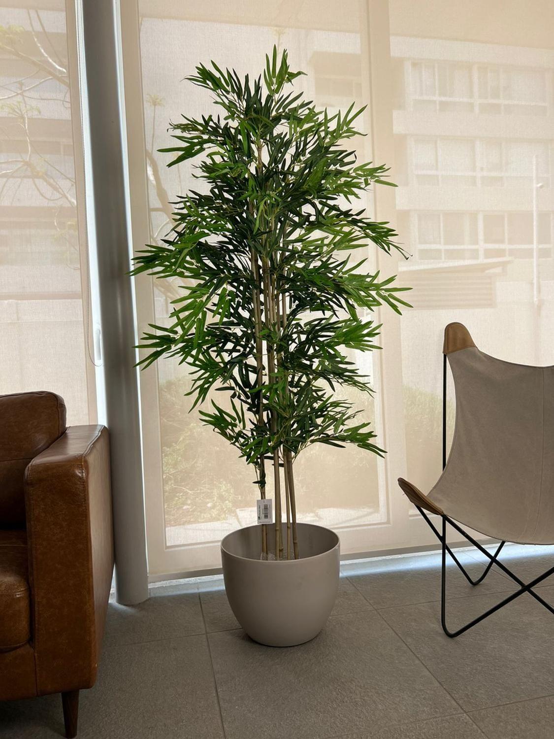 Planta Artificial Bamboo 180 Cm. Premium / Arbusto Real-1