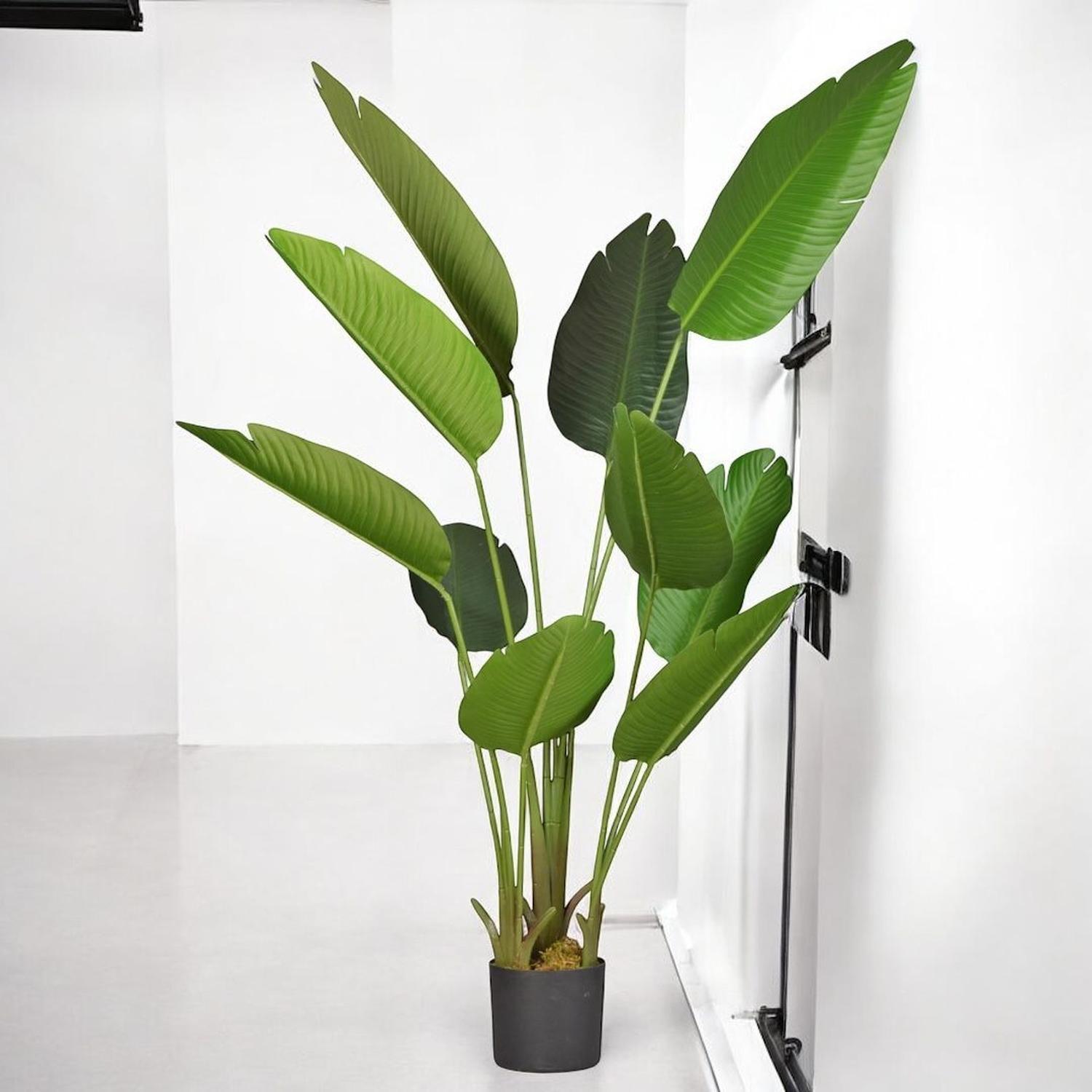 Planta Artificial Ave Paraíso 160 Cm/10 Hojas / Arbusto Real-2