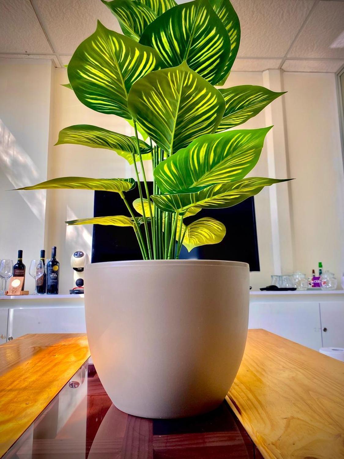 Planta Artificial Arbusto Decorativa Hojas Ralladas 80 Cm-5