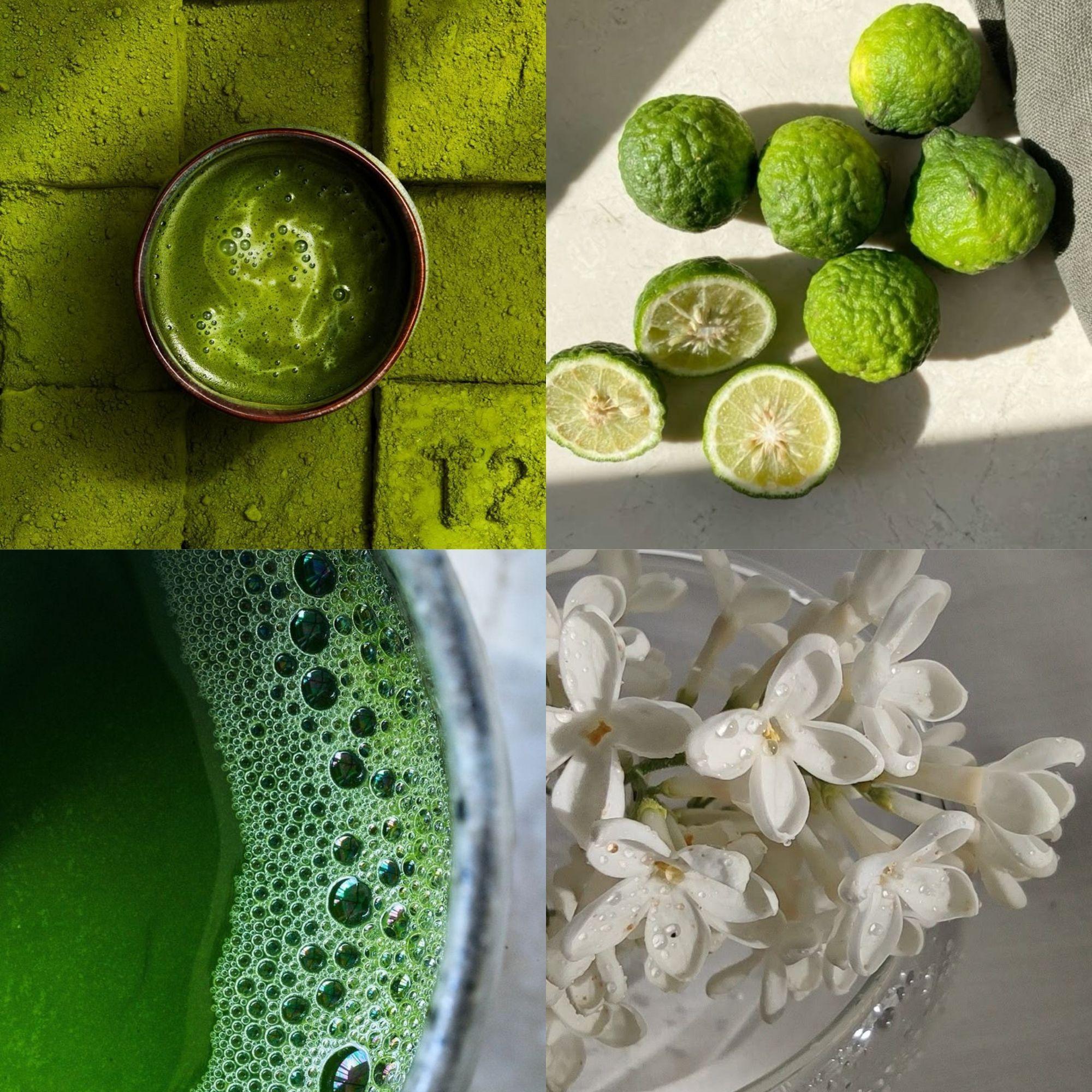 Difusor de Varillas Esencia Cítrica 100 ml - Esencia Citrica -3