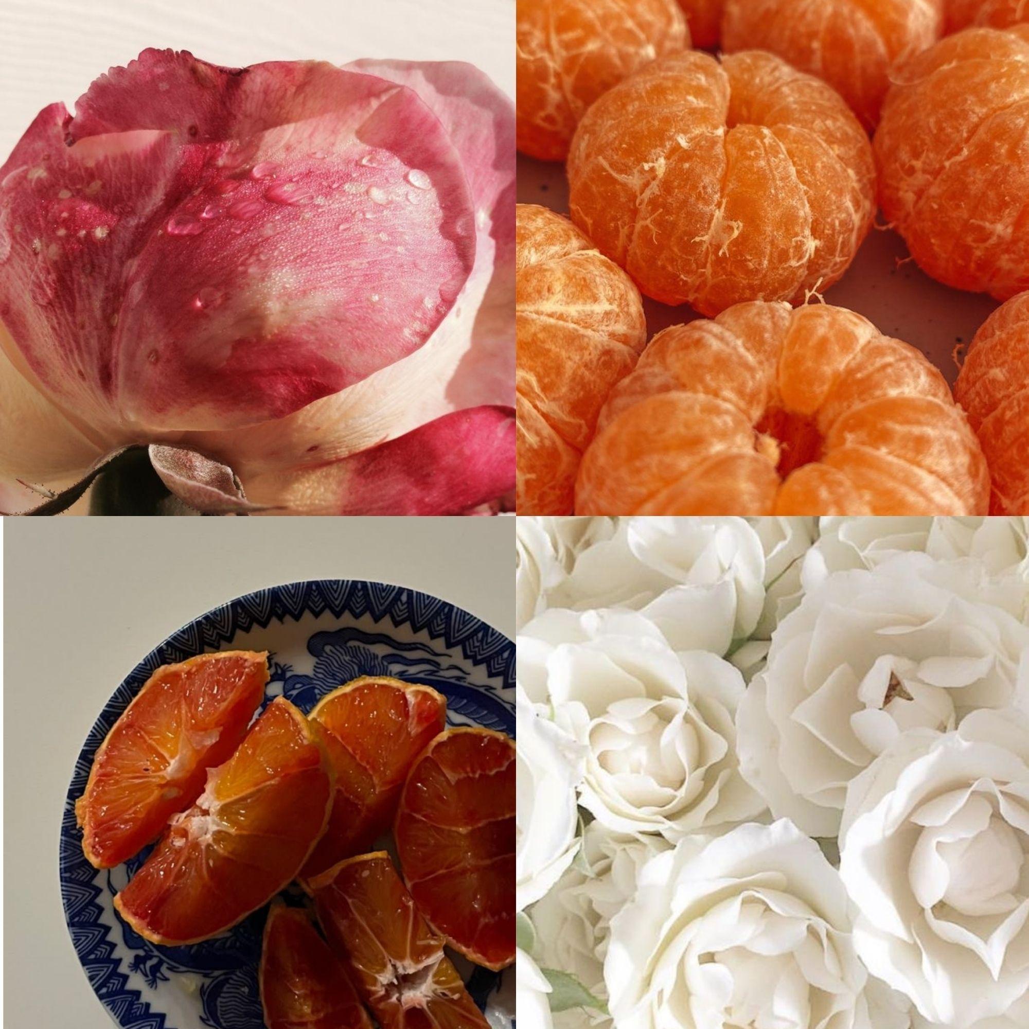 5. Difusor de Varillas Mandarina y Rosas 100 ml  - Esencia Azul-3