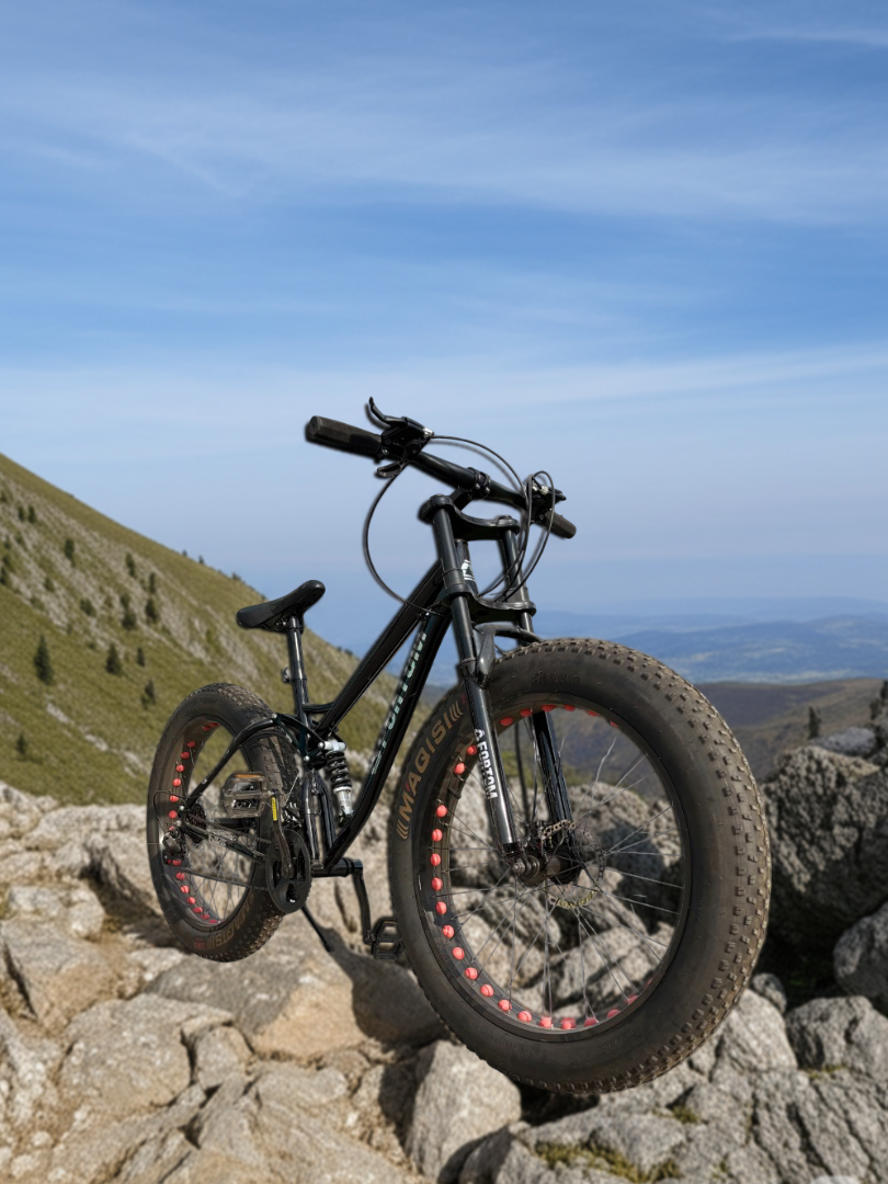Bicicleta Fat Bike Aro 26-4