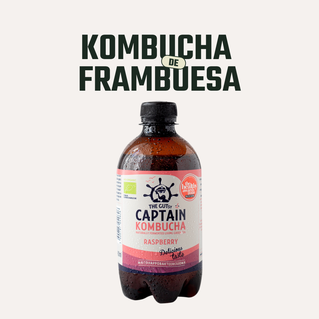 Kombucha Frambuesa Gutsy Captain - 400 ml -2