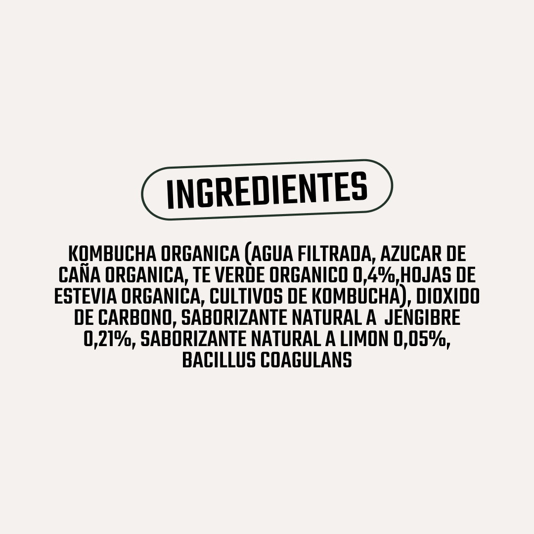 Kombucha Jengibre Limón Gutsy Captain - 400 ml -5