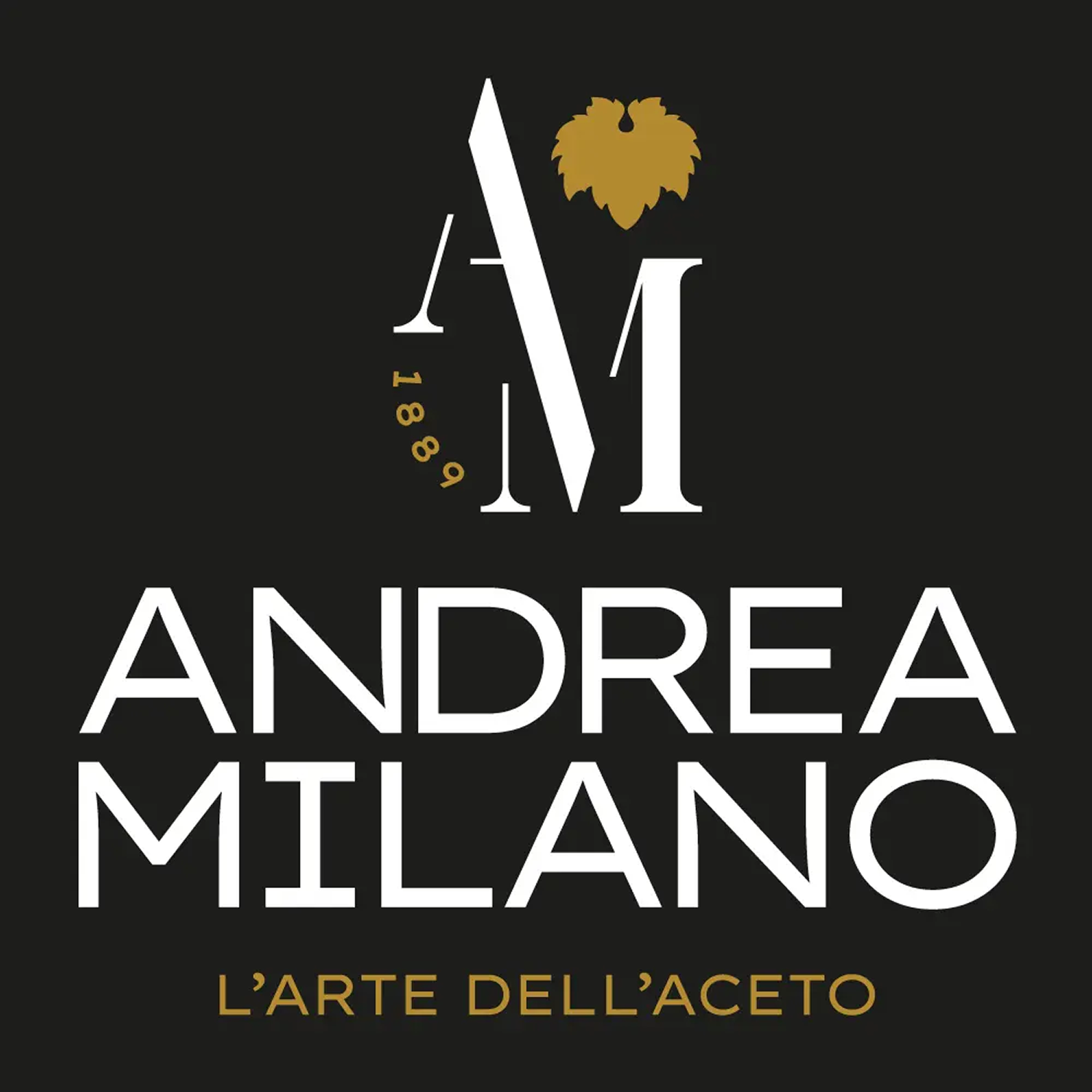 Vinagre Org. Jengibre, Cúrcuma y Ají Andrea Milano 1x500ml-3