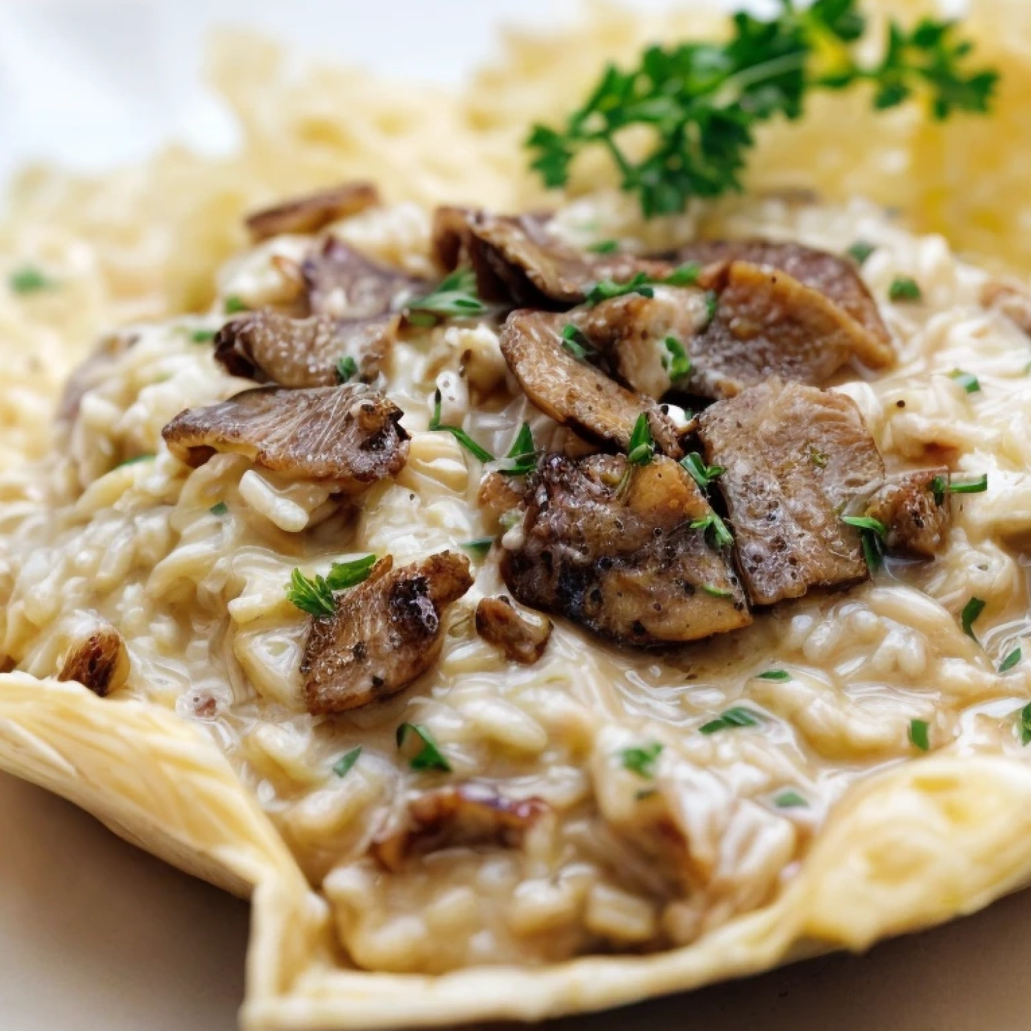 Risotto con Hongos Porcini Tiberino - 200 gr-3